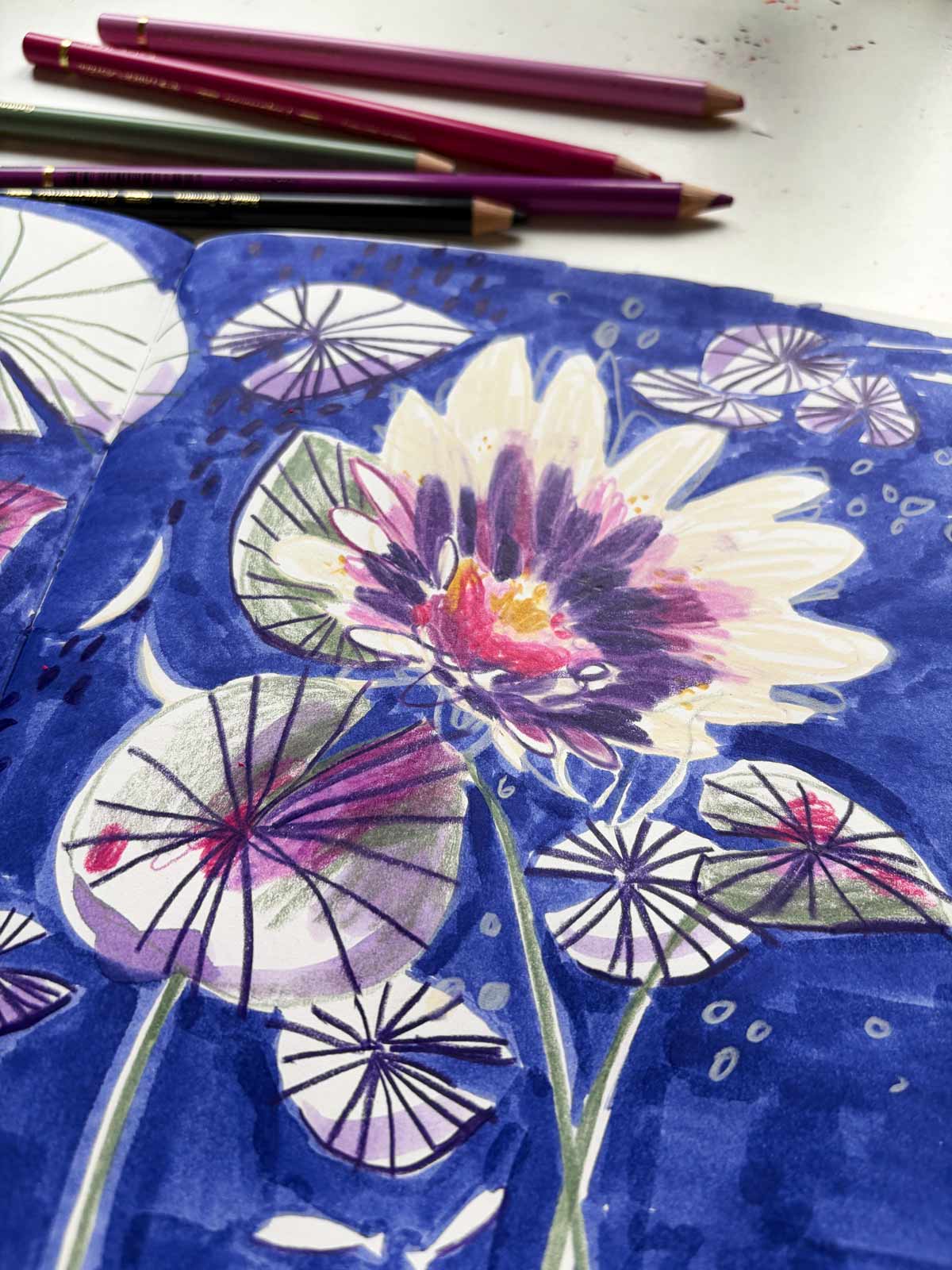 Polychromos aus dem Stifteset "Seerose" von Halfbird neben Illustration