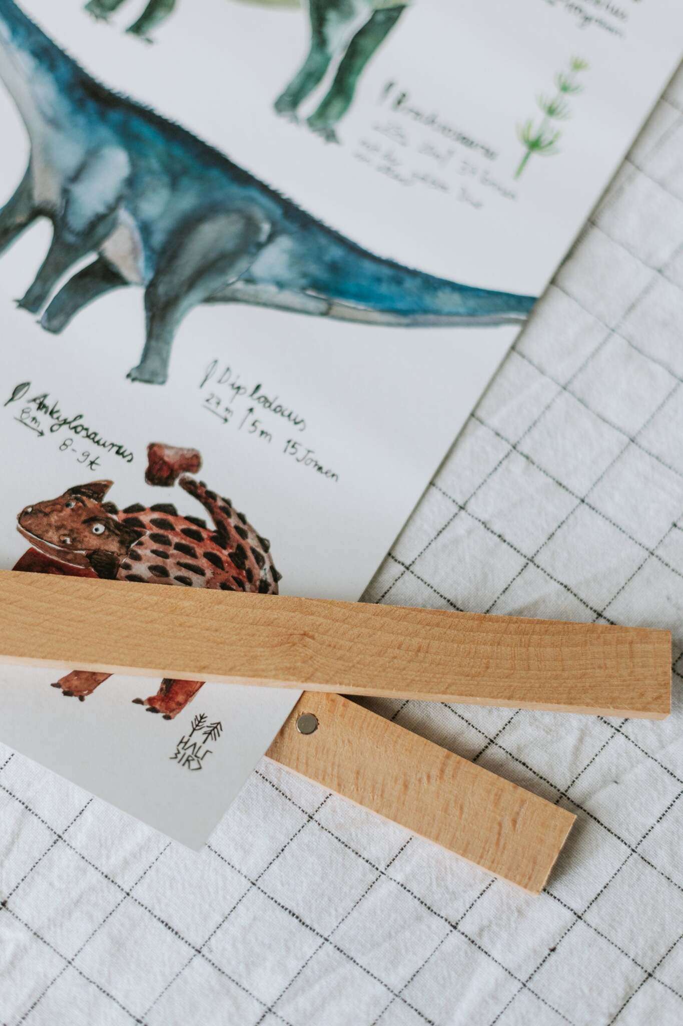 Posterleiste Buche | DIN A5 DIN A2 halfbird