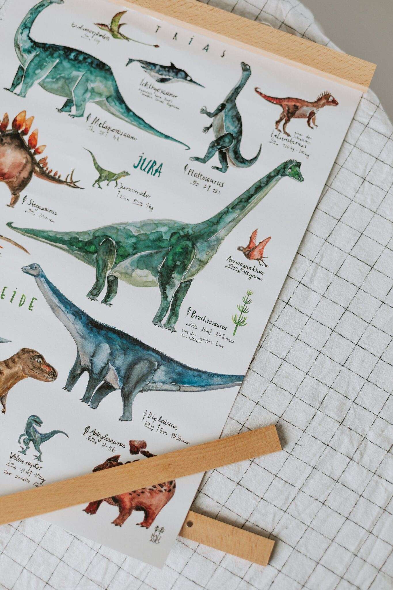Posterleiste Buche | DIN A5 DIN A2 halfbird