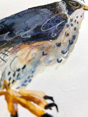 Aquarellfarbkasten - Van Gogh x Halfbird