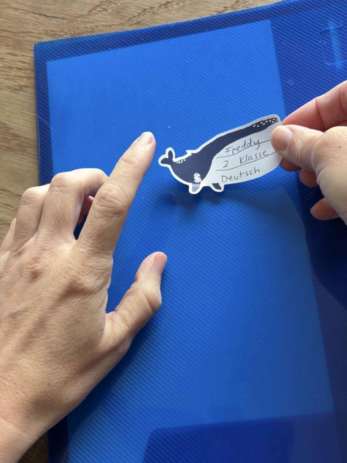 VORBESTELLUNG Namensetiketten Papier | tierische Party