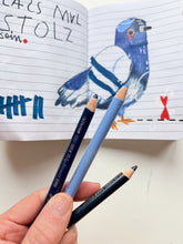 Tauben Zeichnung mit den blauen Polychromo Stiften von Faber Castell bei Halfbird