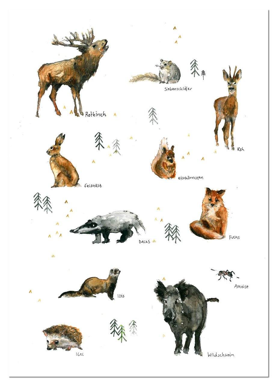 Kunstdruck "Tiere des Waldes" | DIN A3